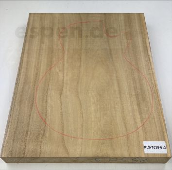 Body Paulownia, Unique Piece #013, 1-pc., 538x425x39mm